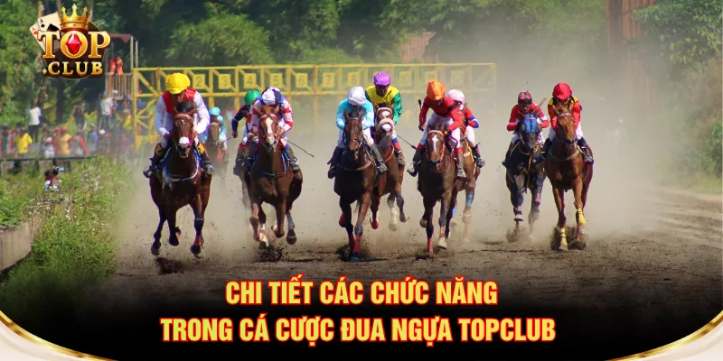 Chi tiết các chức năng trong cá cược đua ngựa TOPCLUB 